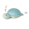 Ocean Collection Musical Animals Turtle Friend