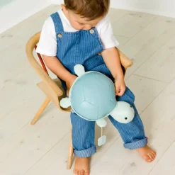 Ocean Collection Musical Animals Turtle Friend