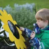Outdoor Petal Drums Sunflower