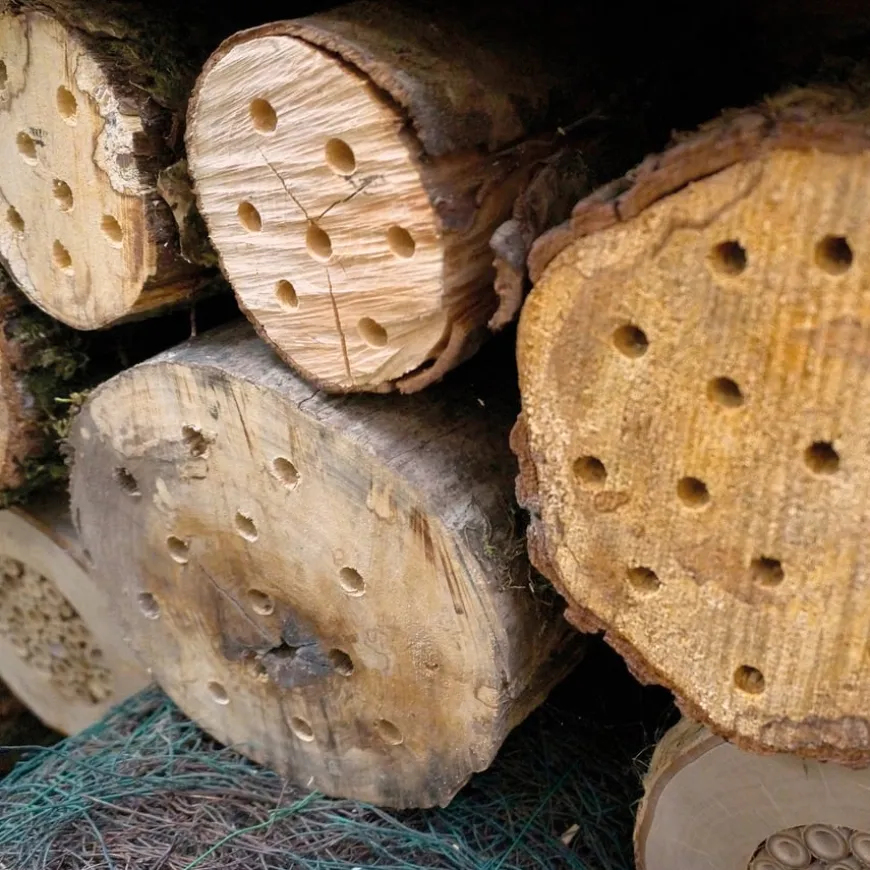 Outdoor Wooden Crittacabin
