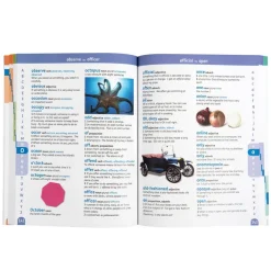 Oxford Junior Illustrated Dictionary