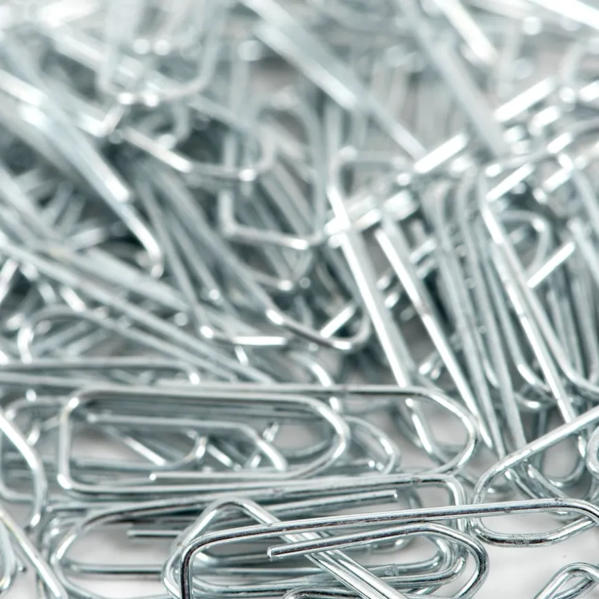 Paper Clips 100pk
