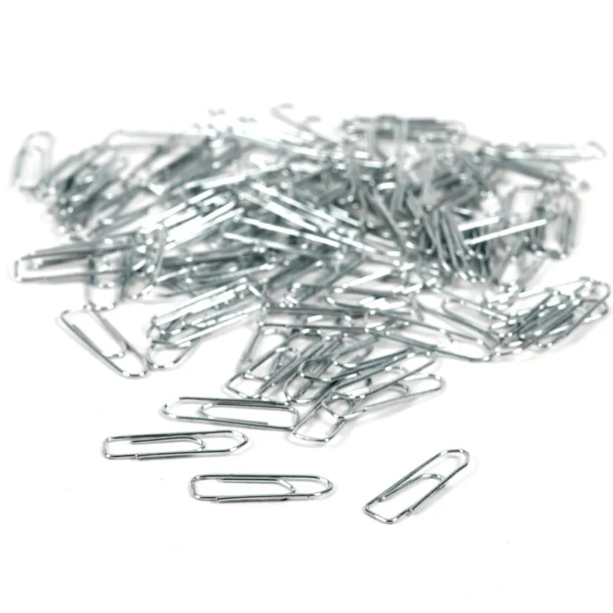 Paper Clips 100pk