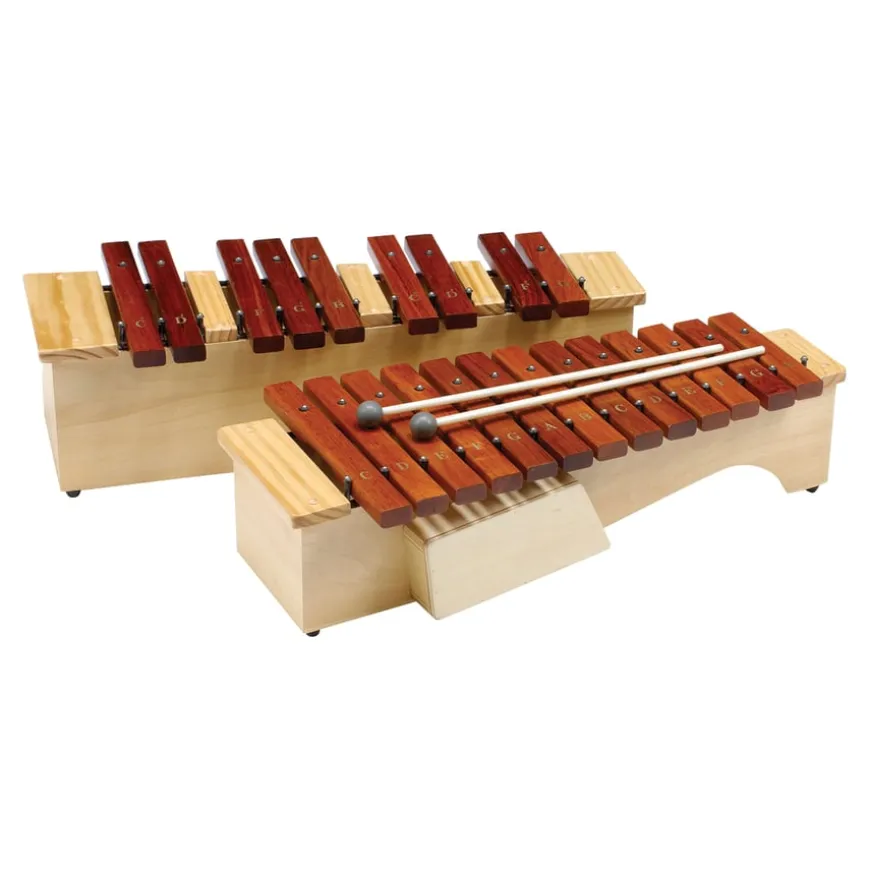 Percussion Soprano Diatonic Xylophone