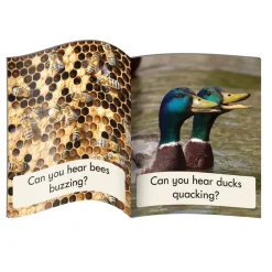 Phase 3 Letters and Sounds Phonic Readers