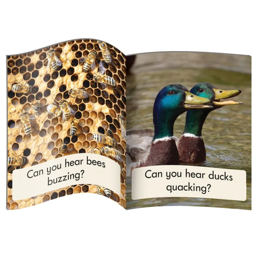 Phase 3 Letters and Sounds Phonic Readers
