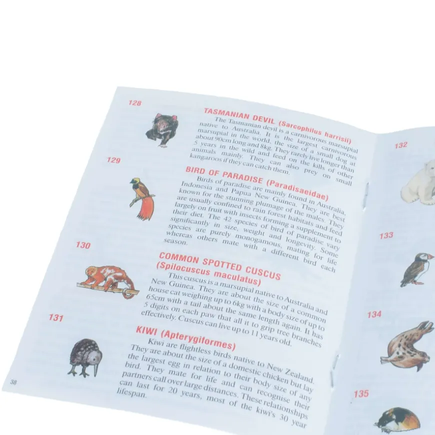 Physical Animal Discovery Globe with Booklet 23cm