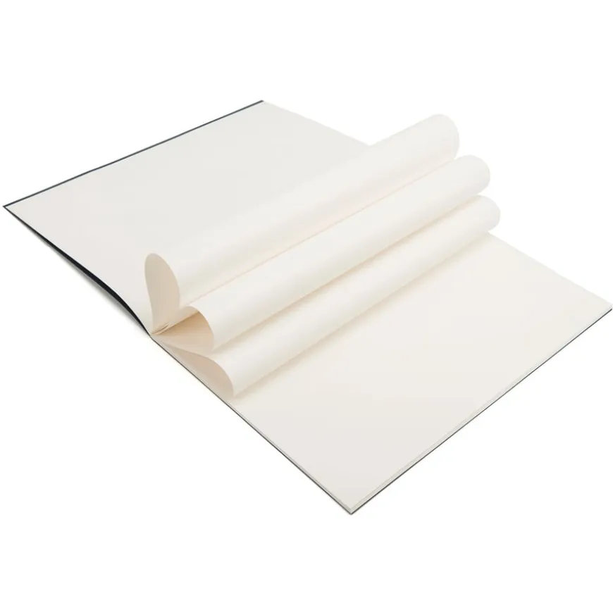 Pisces Laminated Stapled Sketchbooks A4 100gsm 36pk