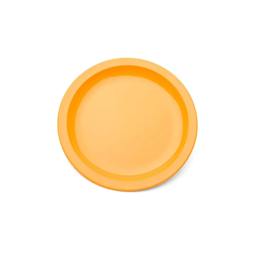 Polycarbonate Side Plates 170mm Single