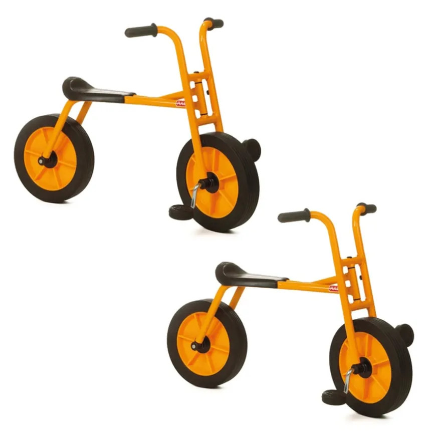 Rabo Large Bike