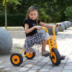 Rabo Large Trike