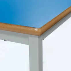Rectangular Fully Welded Table
