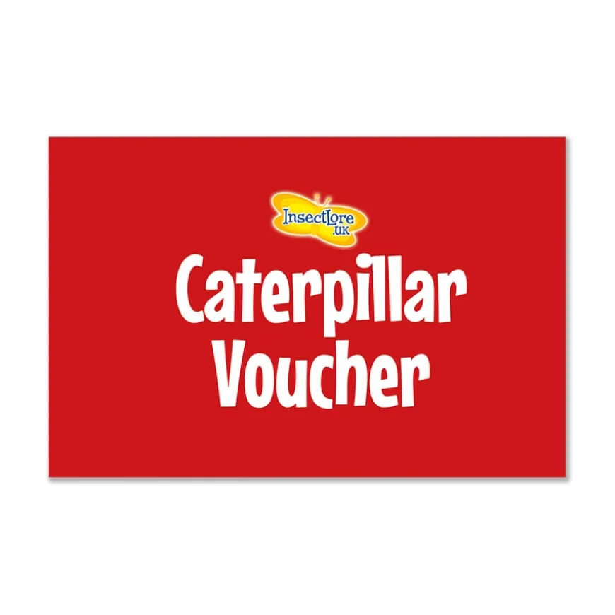Refill Caterpillars for Butterfly Kits 3-5pk