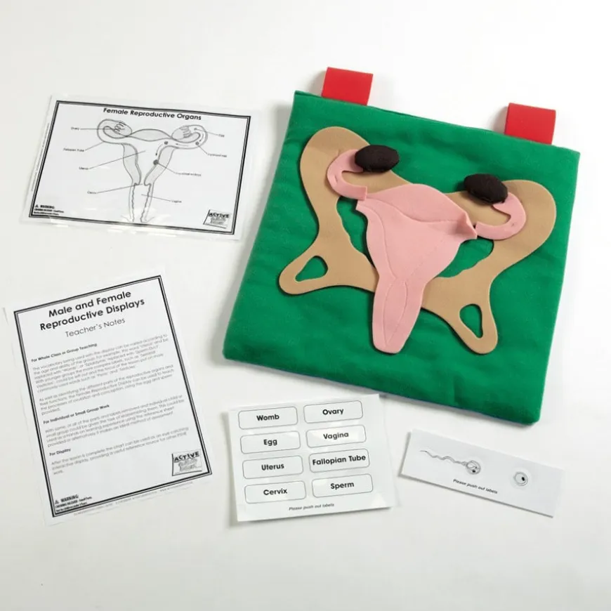Reproductive Organ Display Vests