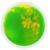 Round Liquid Floor Tiles 4pk