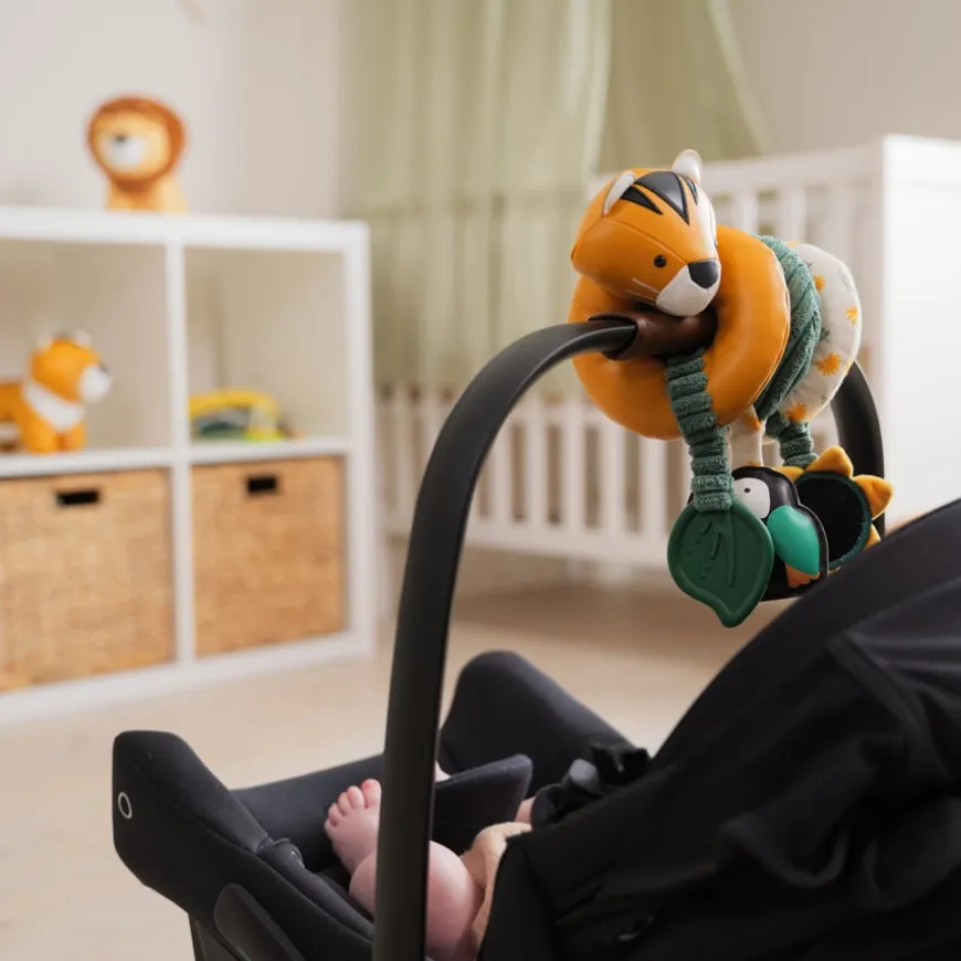 Safari Collection Baby Activity Spiral