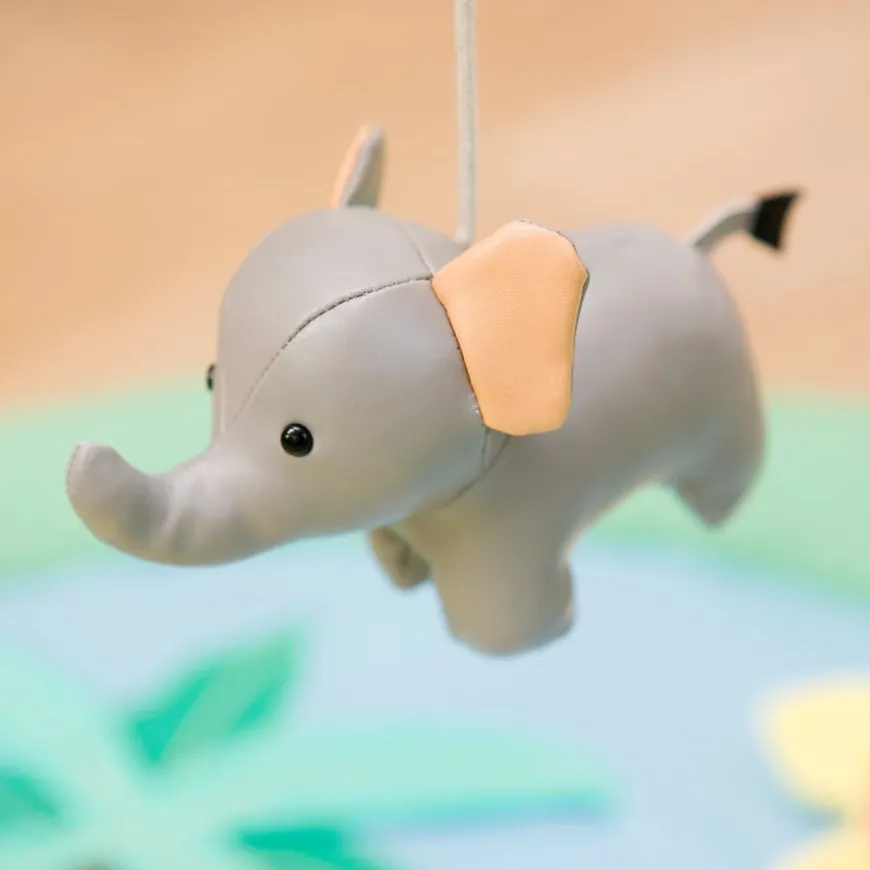 Safari Collection Baby Activity Gym & Accessories
