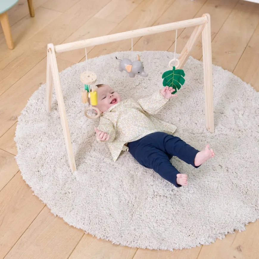 Safari Collection Baby Activity Gym & Accessories