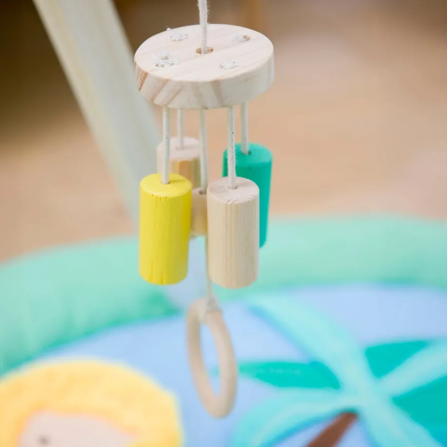 Safari Collection Baby Activity Gym & Accessories
