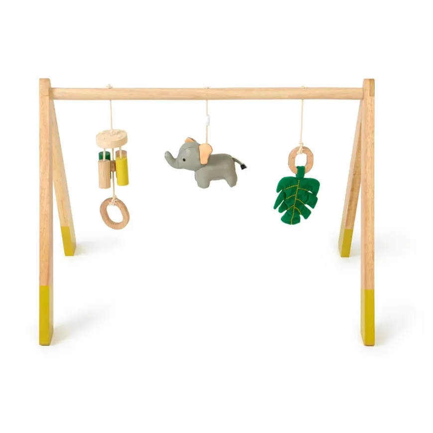 Safari Collection Baby Activity Gym & Accessories