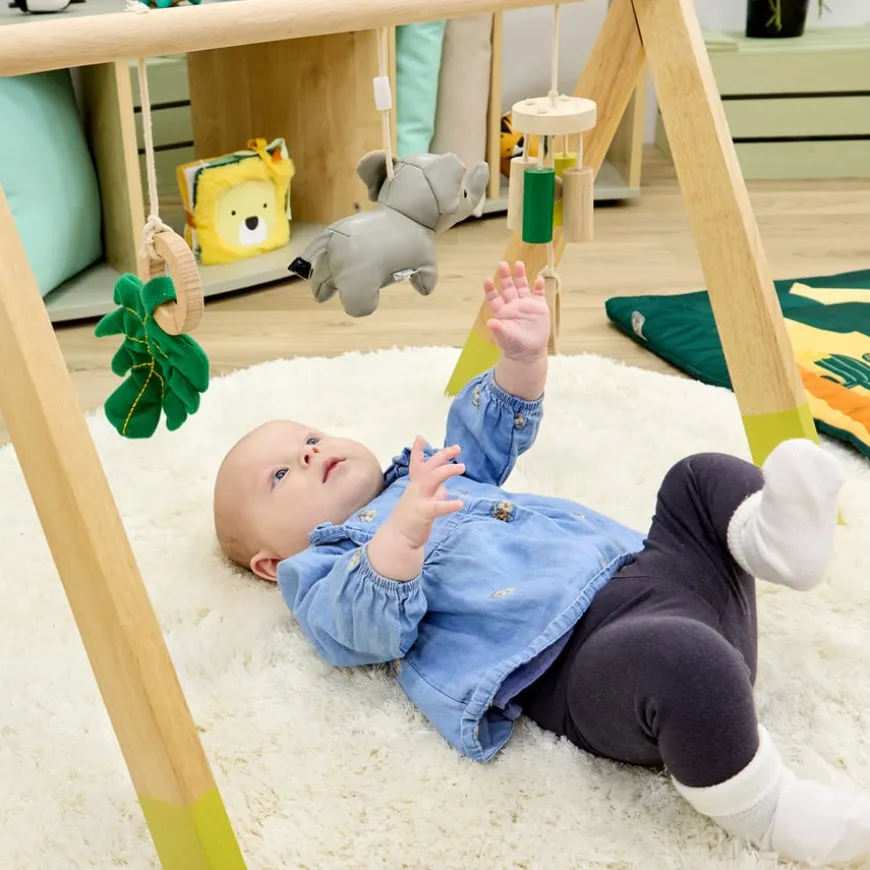 Safari Collection Baby Activity Gym & Accessories