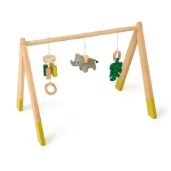 Safari Collection Baby Activity Gym & Accessories