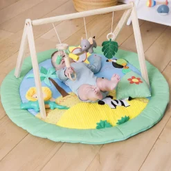 Safari Collection Baby Activity Gym & Accessories
