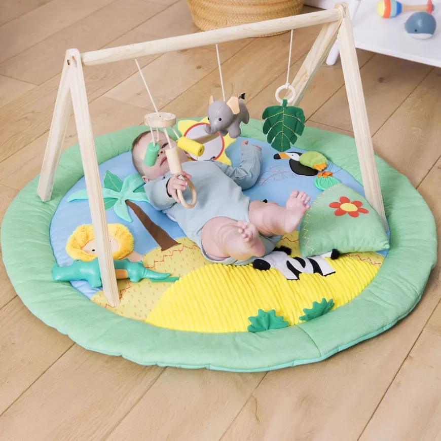 Safari Collection Baby Activity Gym & Accessories