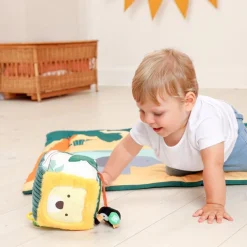 Safari Collection Baby Activity Cube