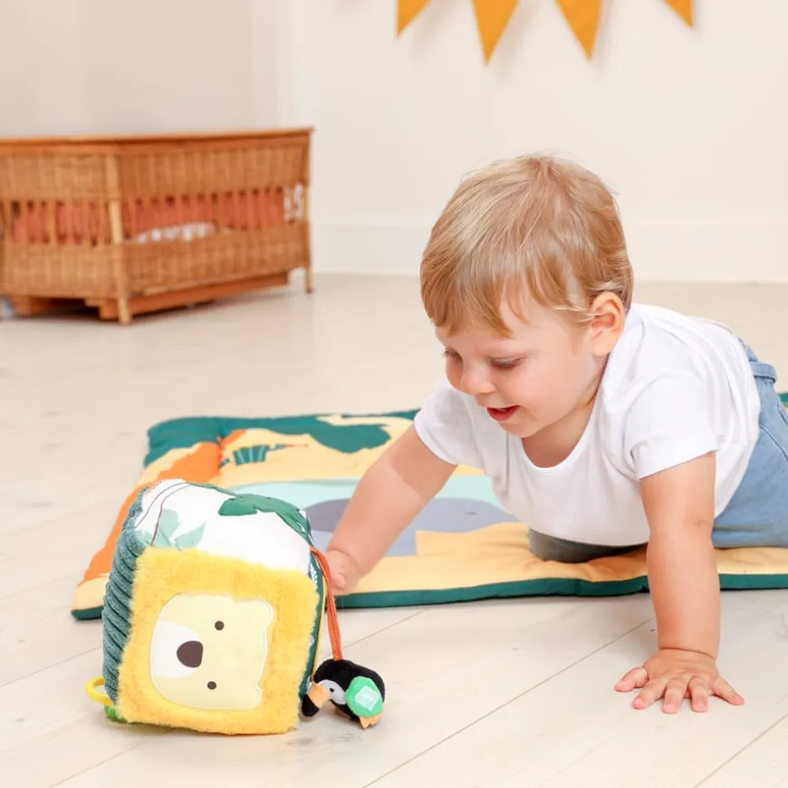 Safari Collection Baby Activity Cube