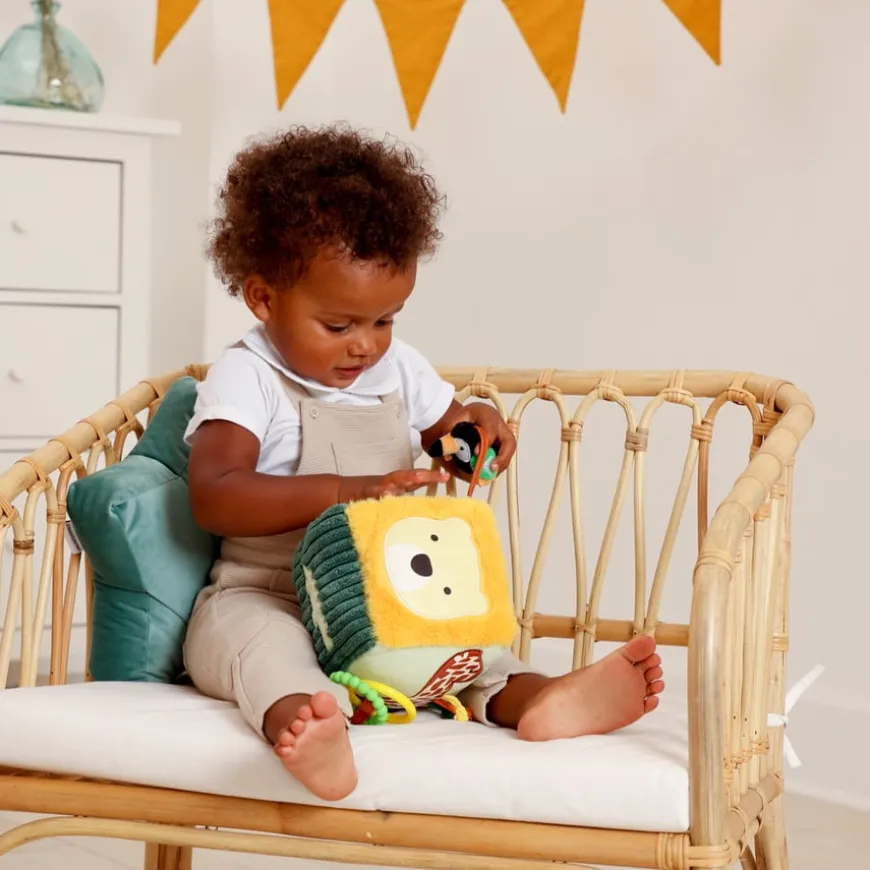 Safari Collection Baby Activity Cube