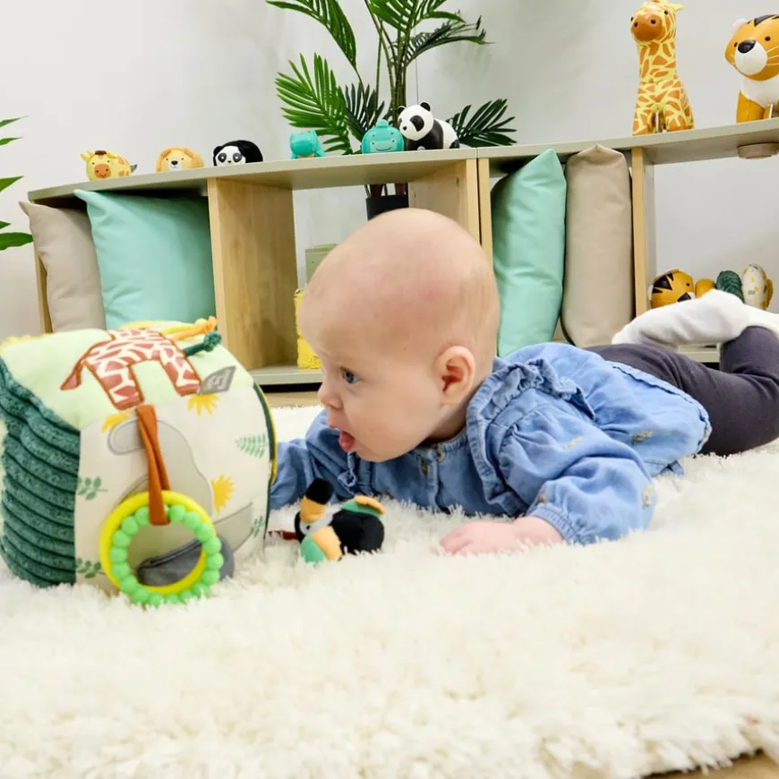 Safari Collection Baby Activity Cube