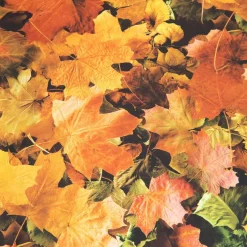 Seasons Themed Bean Bags Floor Cushions