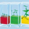 See Plants Grow Laboratory
