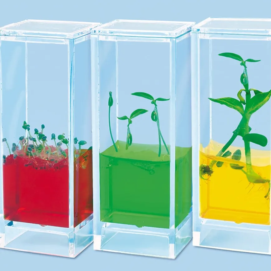 See Plants Grow Laboratory