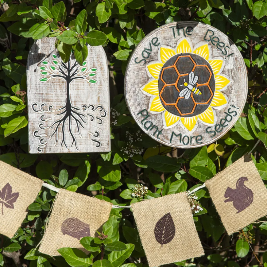Sensory Garden Pack with Teachers Notes