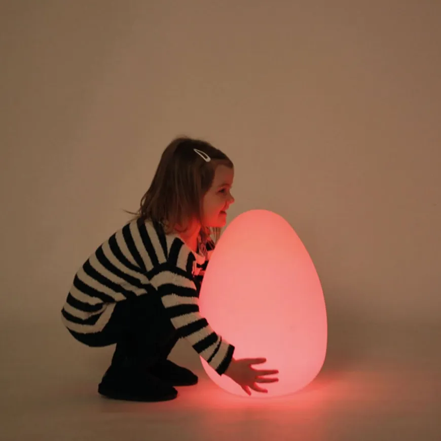 Sensory Mood Light Up Egg