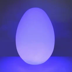 Sensory Mood Light Up Egg