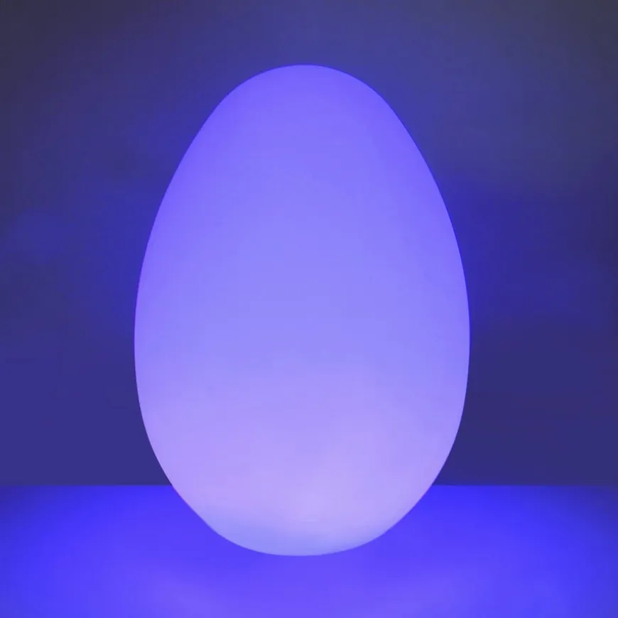 Sensory Mood Light Up Egg