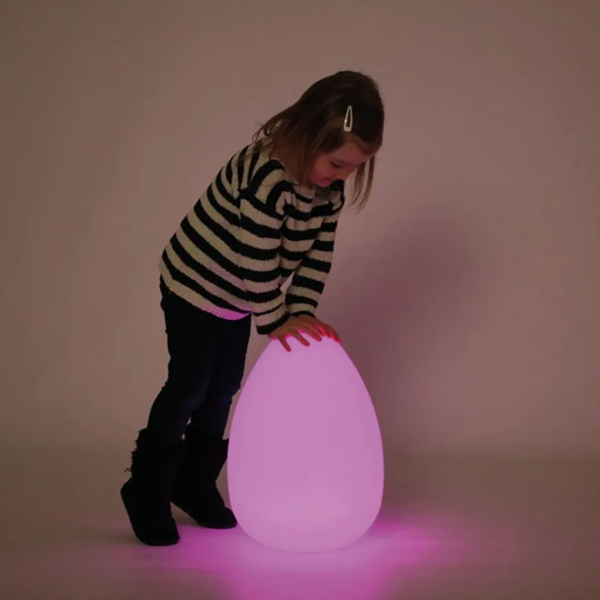 Sensory Mood Light Up Egg