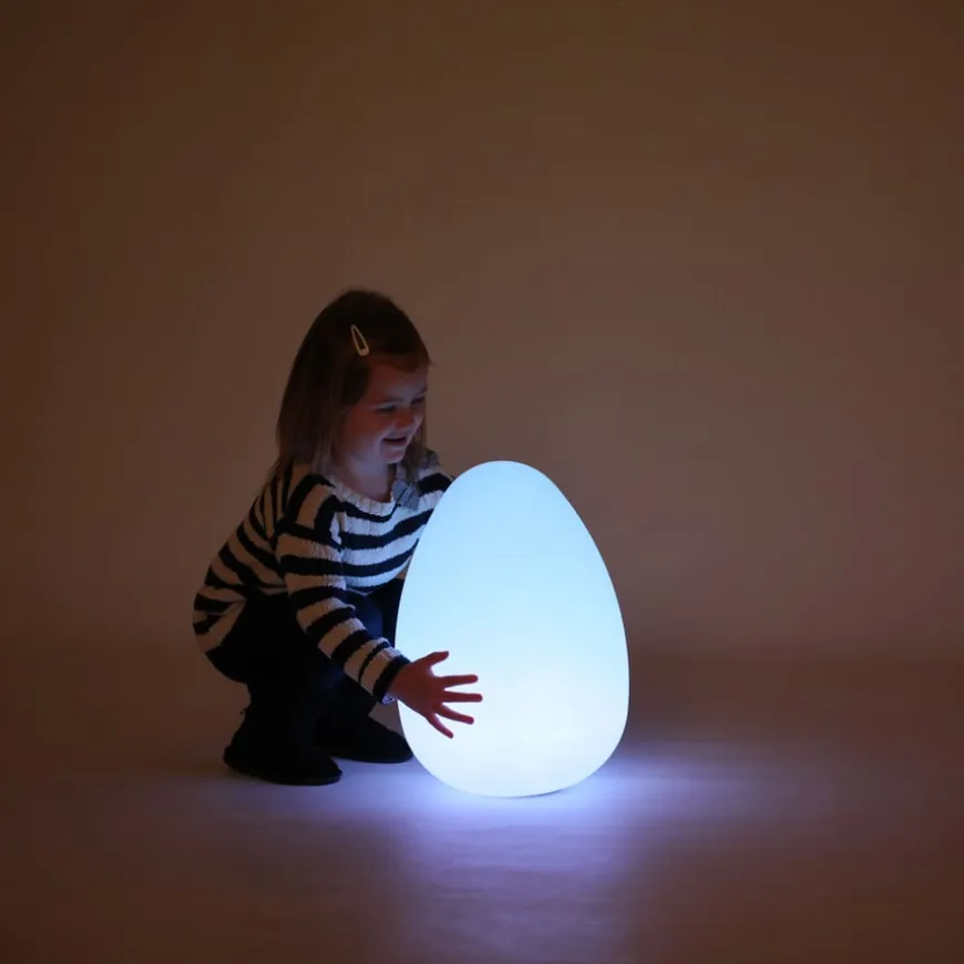 Sensory Mood Light Up Egg