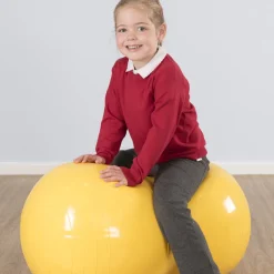 Sit On Peanut Shaped Balance Ball