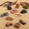 Small World Dinosaur & More Fossil Replicas 10pcs