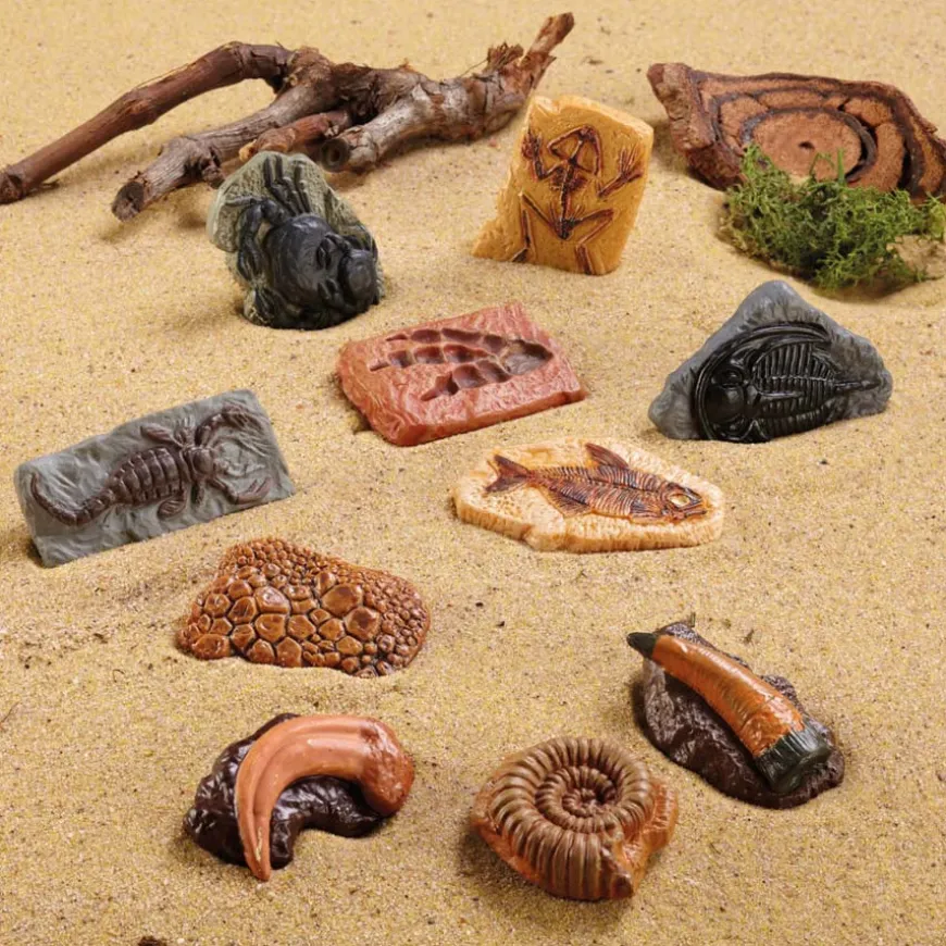 Small World Dinosaur & More Fossil Replicas 10pcs