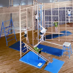 Spectrum Gym Climbing Frame