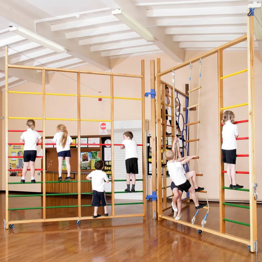 Spectrum Gym Climbing Frame