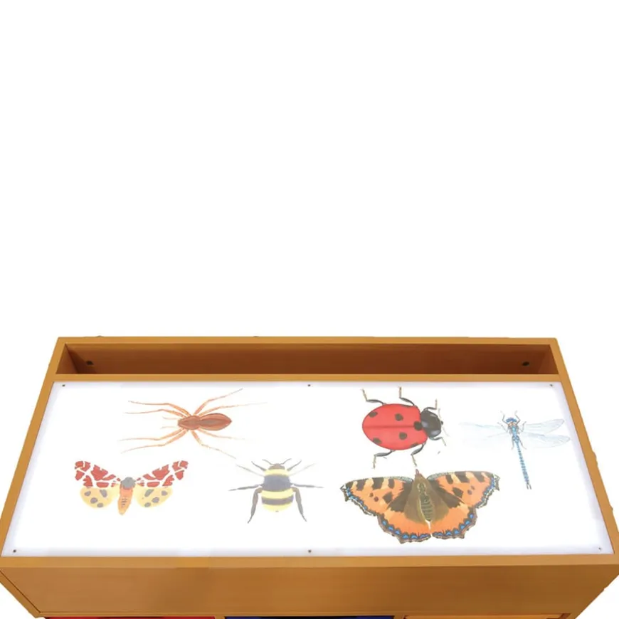 Squidgy Light Box Accessory Kit