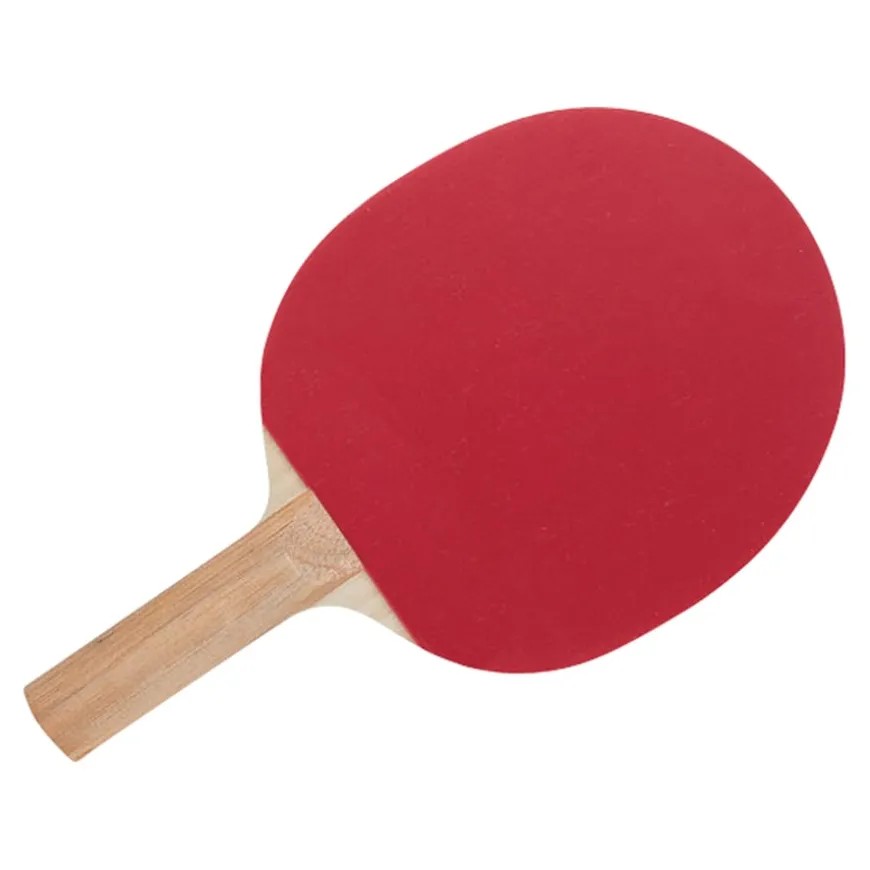 Starter Table Tennis Bat Pimples Out