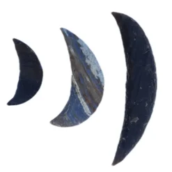 Stone Age Sickle Collection 3pk