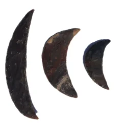Stone Age Sickle Collection 3pk